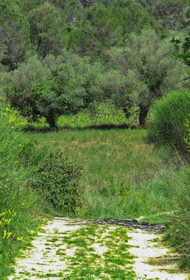 La Bastide De Canaules Eksteriør bilde